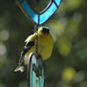 Meet your Posher, Christy